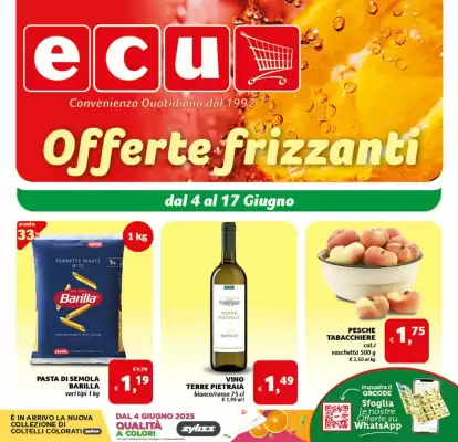 Volantino Ecu Discount (valido fino al 17-06)