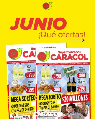 Catálogo Supermercados Caracol (válido hasta 17-06)