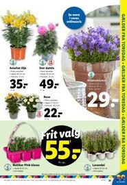 Lidl tilbudsavis Side 31