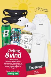 Fleggaard tilbudsavis Side 21