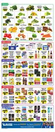 Sellers Bros Weekly Ad week 23 Page 4