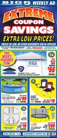 Big 5 Weekly Ad week 22 Page 1