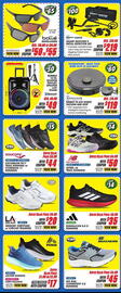 Big 5 Weekly Ad week 22 Page 3