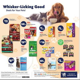 Family Dollar Weekly Ad week 23 Page 16