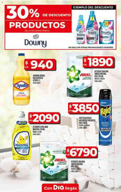 Catálogo Supermercados DIA semana 23 Página 21