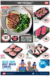IGA catalogue week 23 Page 8