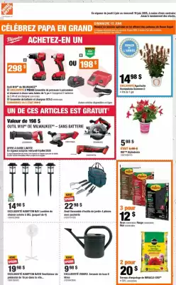 Home Depot flyer (valid until 12-06)