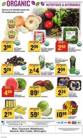 Food Lion Weekly Ad week 23 Page 13