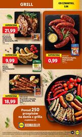 Lidl gazetka Strona 29