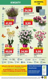 Lidl gazetka Strona 51