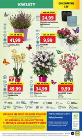 Lidl gazetka Strona 51
