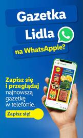 Lidl gazetka Strona 59