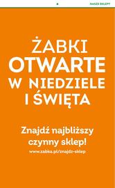 Żabka gazetka Strona 43