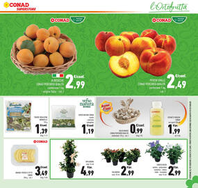 Volantino Conad Superstore Pagina 29