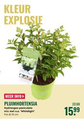 GroenRijk folder Pagina 19