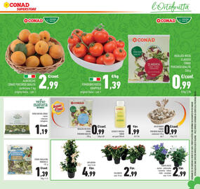 Volantino Conad Superstore Pagina 13