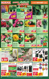 Catalogue Norma semaine 24 page 4