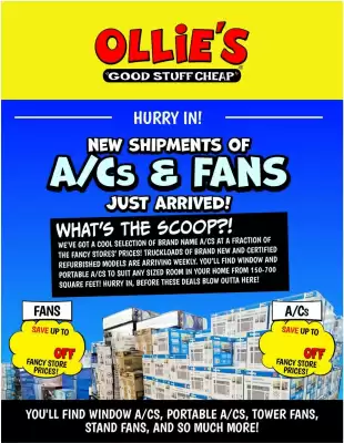 Ollie's Weekly Ad (valid until 11-06)