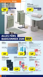 Hofer Flugblatt woche 23 Seite 22