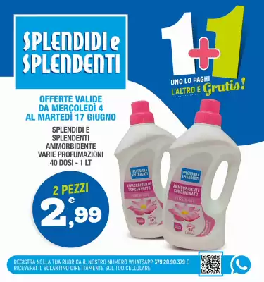 Volantino Splendidi e Splendenti