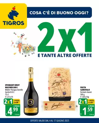 Volantino Tigros