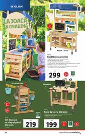 Catalog Lidl săptămâna 24 Pagină 24