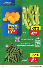 Catalog Lidl săptămâna 24 Pagină 28