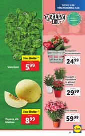 Catalog Lidl săptămâna 24 Pagină 29