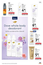 dm Flugblatt Seite 17