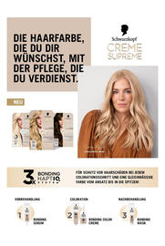 dm Flugblatt Seite 18