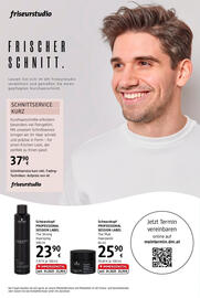 dm Flugblatt Seite 20