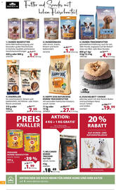 Dehner Prospekt Seite 14