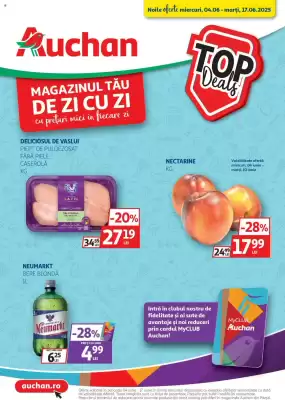 Catalog Auchan