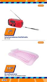 Action Flugblatt woche 23 Seite 11