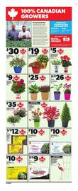 Independent Grocer flyer week 23 Page 14