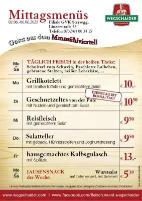 Wegschaider Flugblatt (gültig bis 6-06)