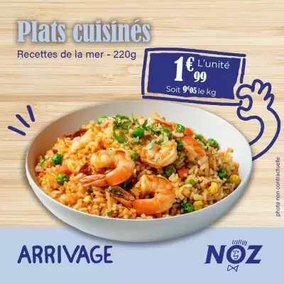 Catalogue Noz
