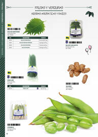 Folleto Makro | Cocina fusión asiática Página 42