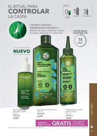 Catálogo Yves Rocher Página 13