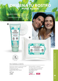 Catálogo Yves Rocher Página 43