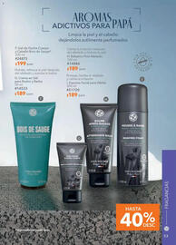 Catálogo Yves Rocher Página 55