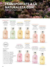 Catálogo Yves Rocher Página 60