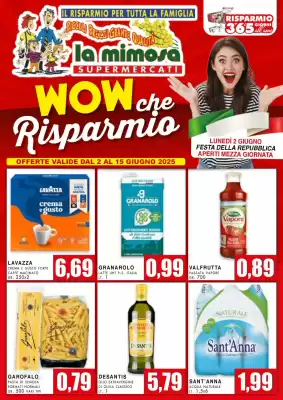 Volantino La Mimosa Supermercati