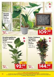 Netto Marken-Discount DE folder Pagina 10