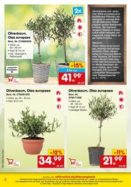 Netto Marken-Discount DE folder Pagina 2