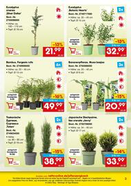 Netto Marken-Discount DE folder Pagina 3