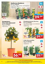 Netto Marken-Discount DE folder Pagina 4