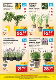 Netto Marken-Discount DE folder Pagina 5