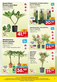 Netto Marken-Discount DE folder Pagina 7
