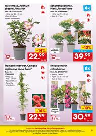 Netto Marken-Discount DE folder Pagina 9